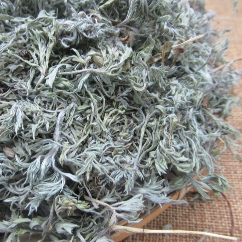 茵陈1公斤整株茵陈野生茵陈无硫绵茵陈中药茵陈个