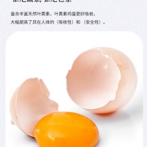 高品质鲜鸡蛋