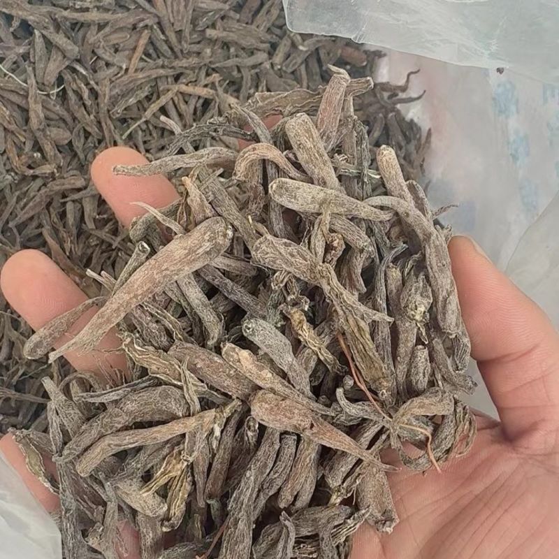 双肾参中药材双参玉风花对对参鸡卵参绿金风野生正品