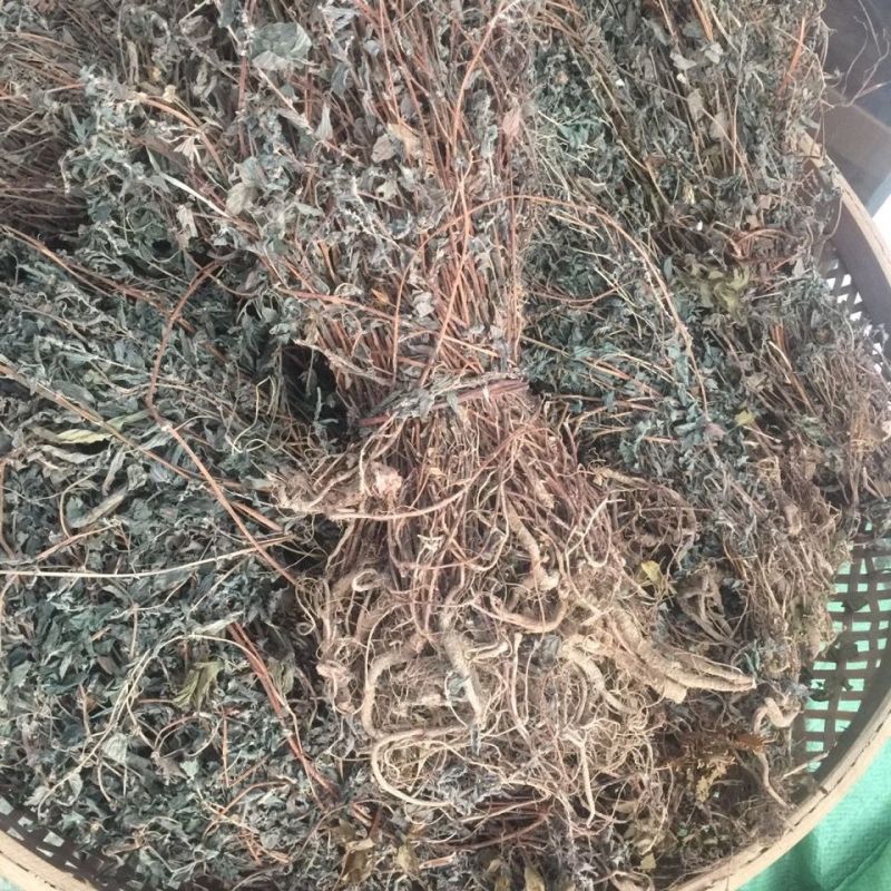 野生雾水葛1公斤全草带根干品糯米藤脓见消全草新货上市
