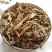 蒲黄根1公斤蒲笋蒲儿根水烛香蒲根东方香蒲根