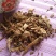蒲黄根1公斤蒲笋蒲儿根水烛香蒲根东方香蒲根