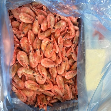北极虾新鲜甜虾刺身冰虾大虾超大带籽头籽腹籽北极熊海鲜水产