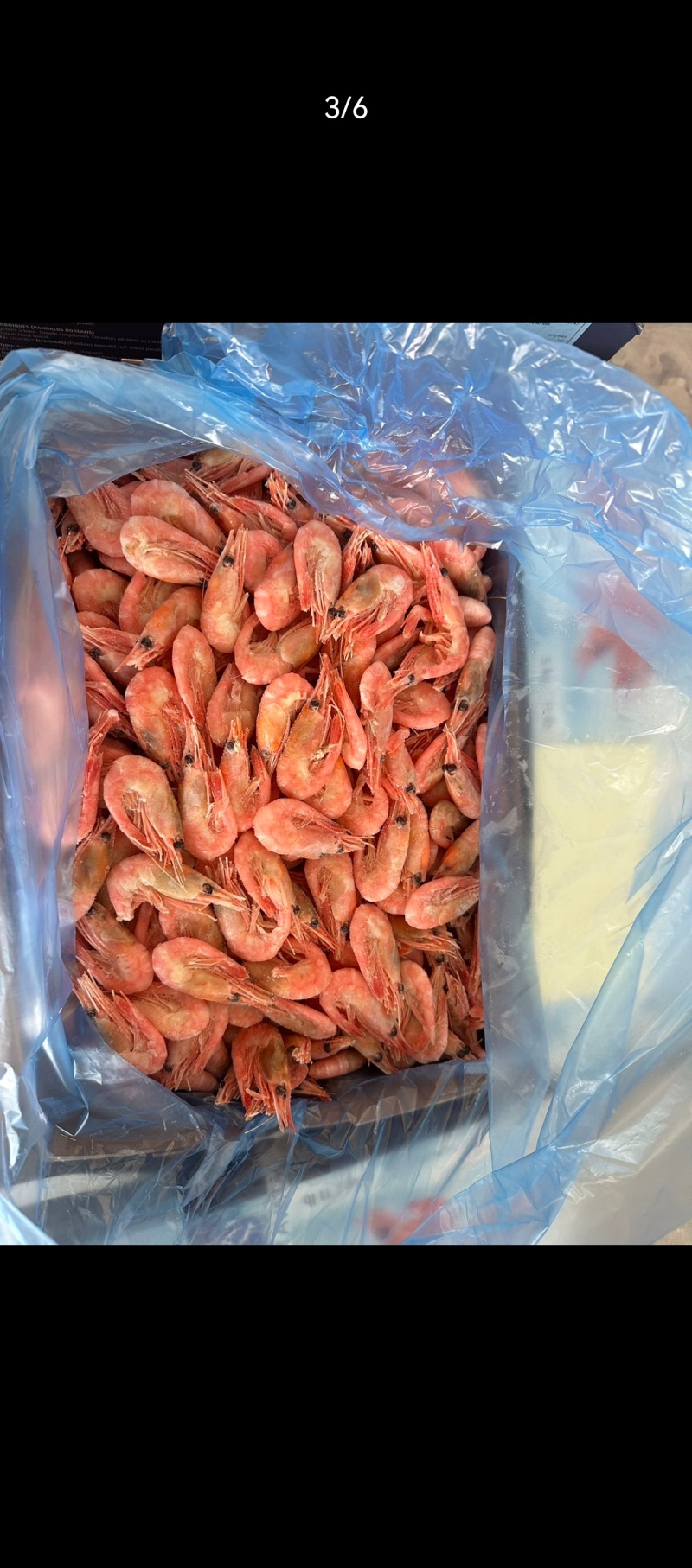 北极虾新鲜甜虾刺身冰虾大虾超大带籽头籽腹籽北极熊海鲜水产