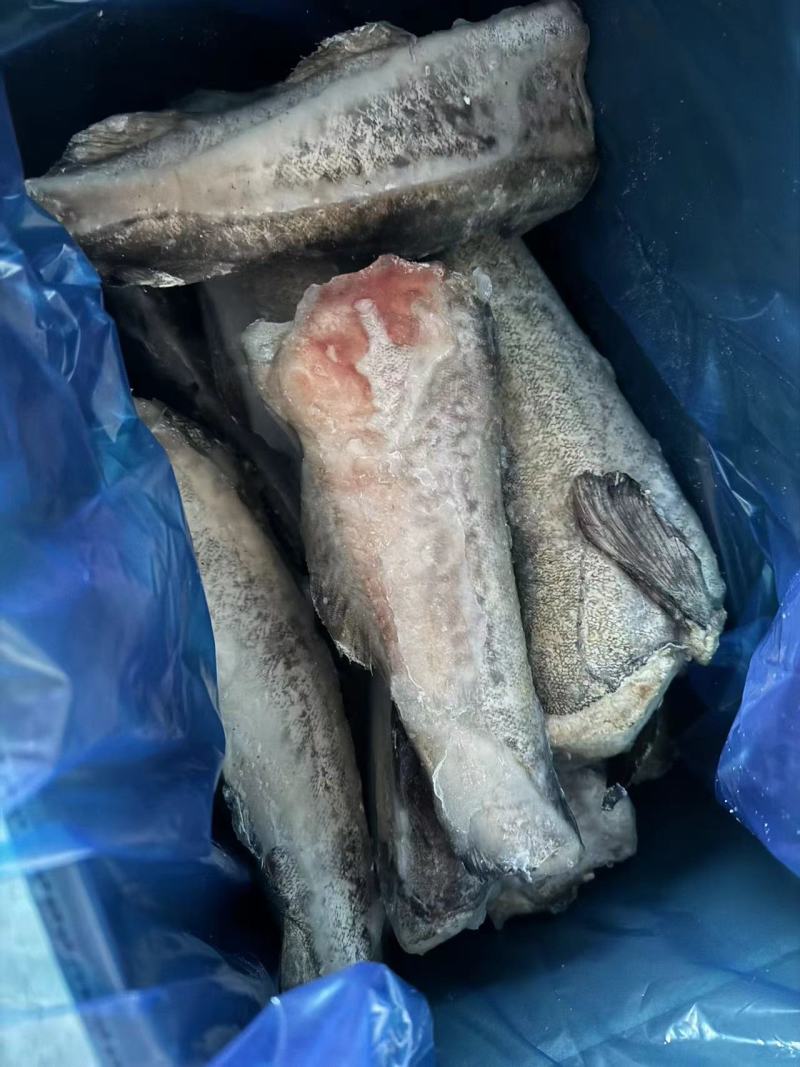 鳕鱼段大量供应规格齐全保质保可对接商超食堂欢迎电话联系