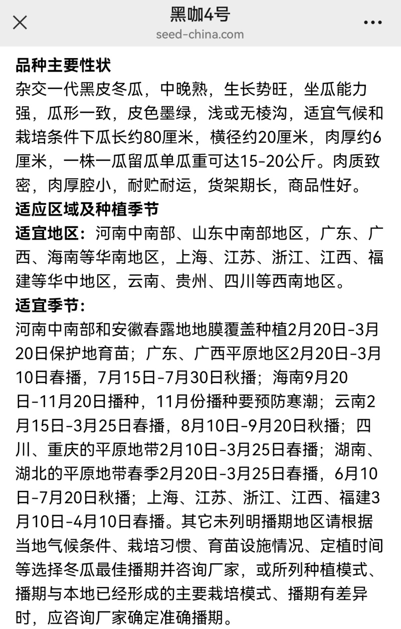 黑咖4号黑皮大冬瓜种子杂交大果耐储存心腔小发芽快冬瓜种子