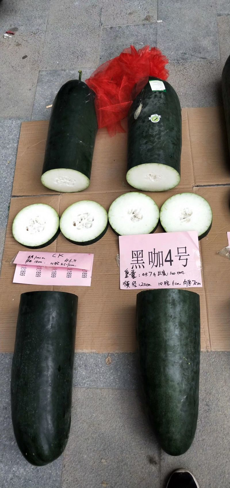 黑咖4号黑皮大冬瓜种子杂交大果耐储存心腔小发芽快冬瓜种子