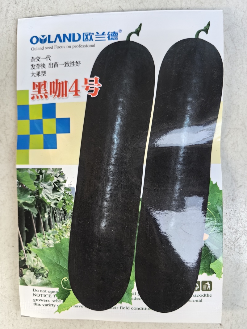 黑咖4号黑皮大冬瓜种子杂交大果耐储存心腔小发芽快冬瓜种子