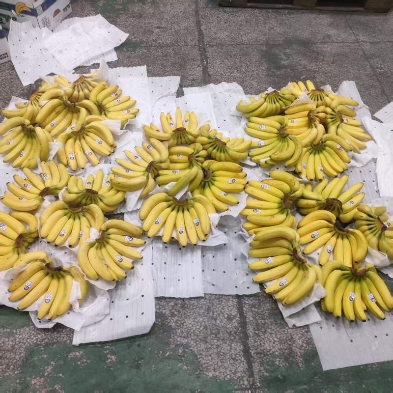【实力推荐】精品香蕉/进口香蕉/常年供应/视频看货/欢迎