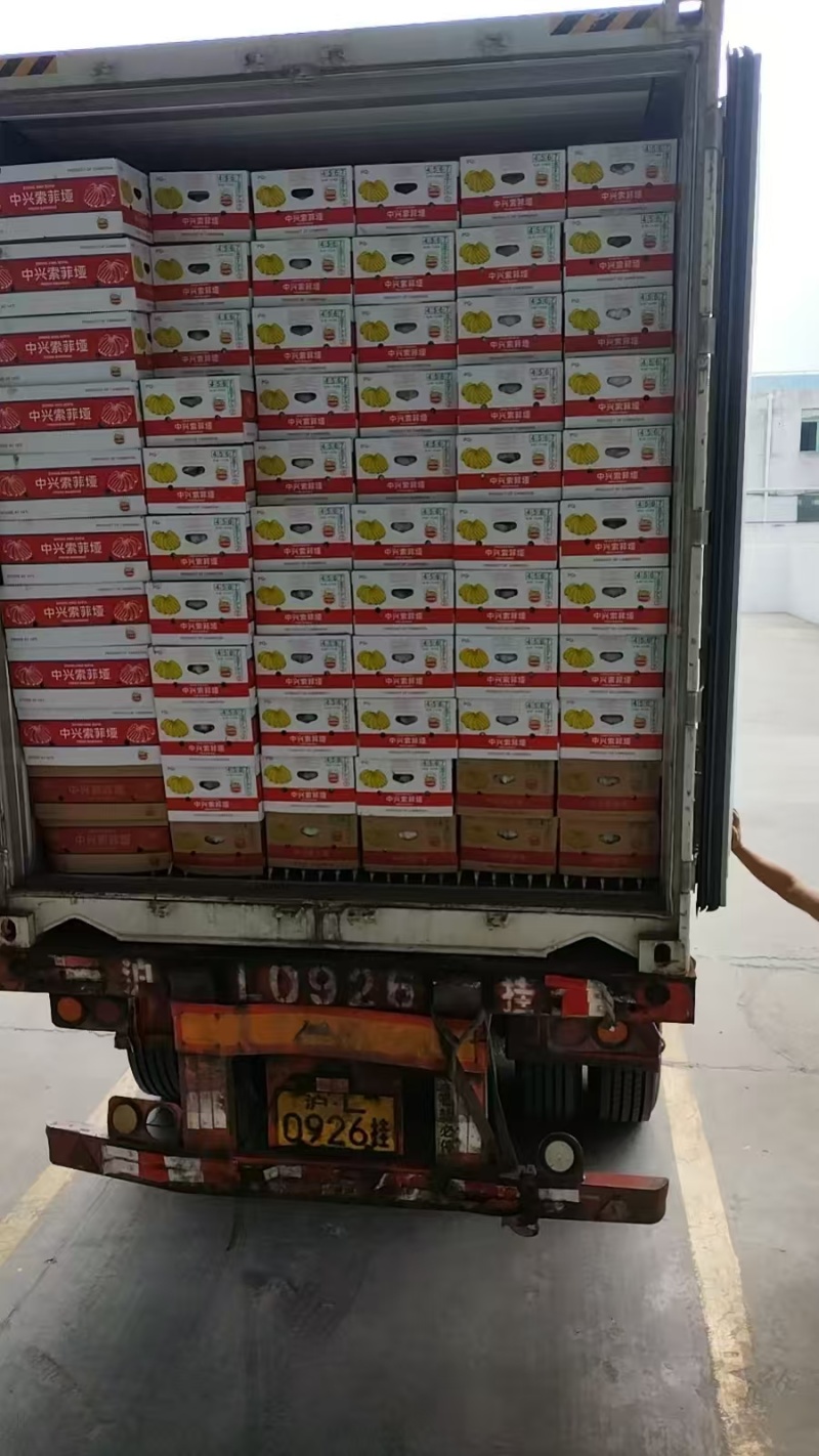【实力推荐】精品香蕉/进口香蕉/常年供应/视频看货/欢迎