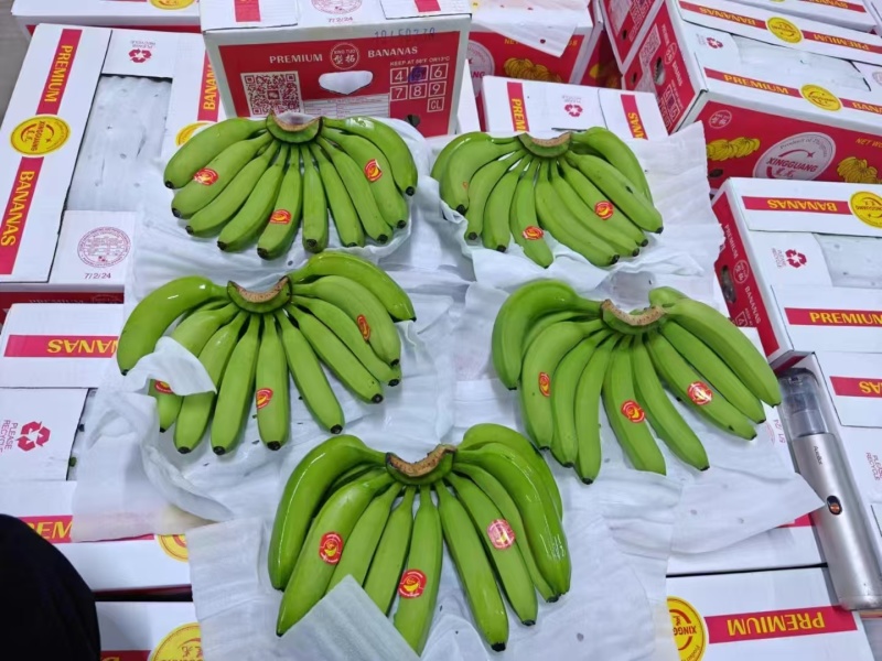 【实力推荐】精品香蕉/进口香蕉/常年供应/视频看货/欢迎