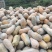 南瓜