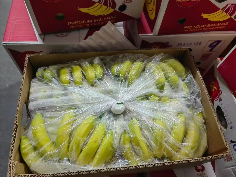 【实力推荐】精品香蕉/进口香蕉/常年供应/视频看货/欢迎