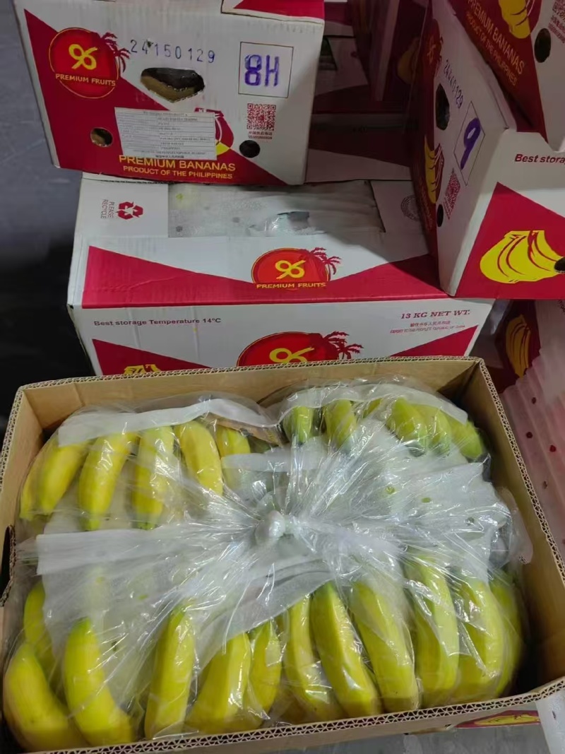 【实力推荐】进口香蕉/公司常年供应/视频看货/量大优惠