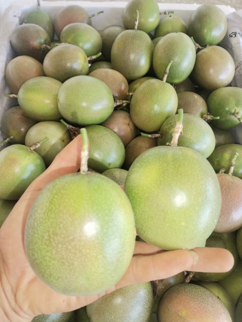 百香果