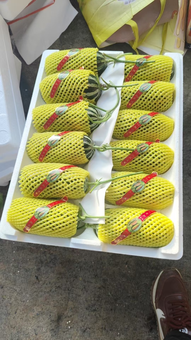 绿宝花蕾博洋61博洋九羊角蜜