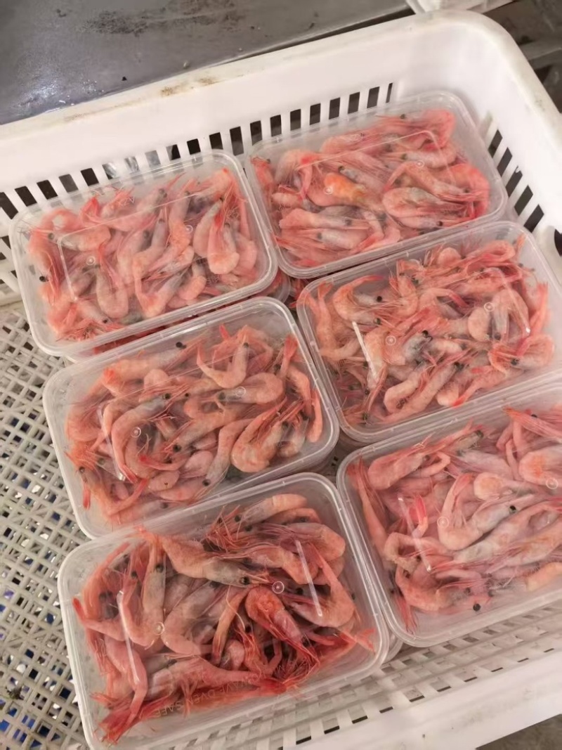 海捕生冻甜虾小红虾海洋虾刺身食材海捕红虾补钙