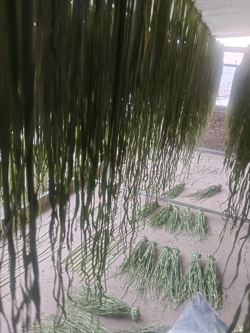 云南大理优质代收代发原产地贡菜干