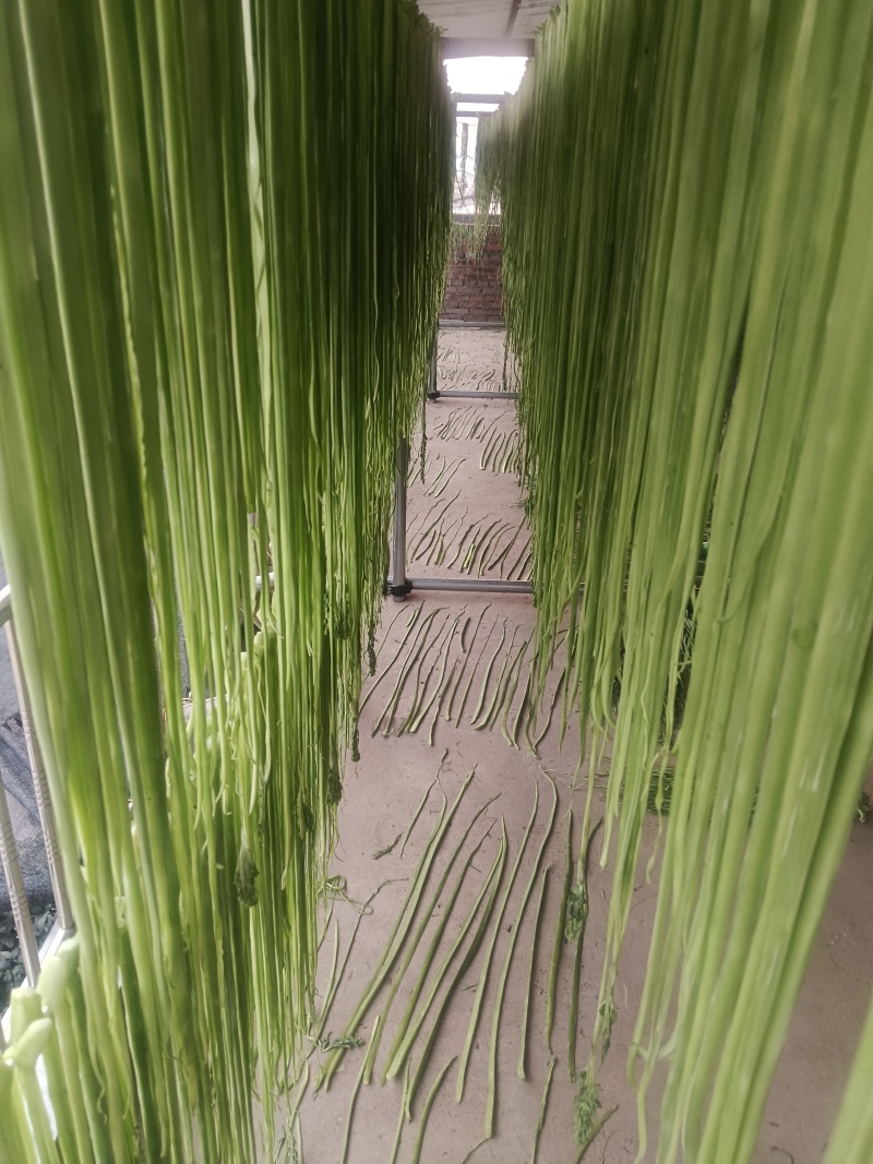 云南大理优质代收代发原产地贡菜干