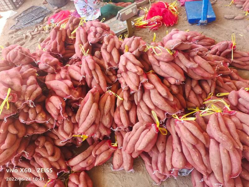 广东湛江西瓜红红薯产地发货一手货源批发品质保证价格美丽