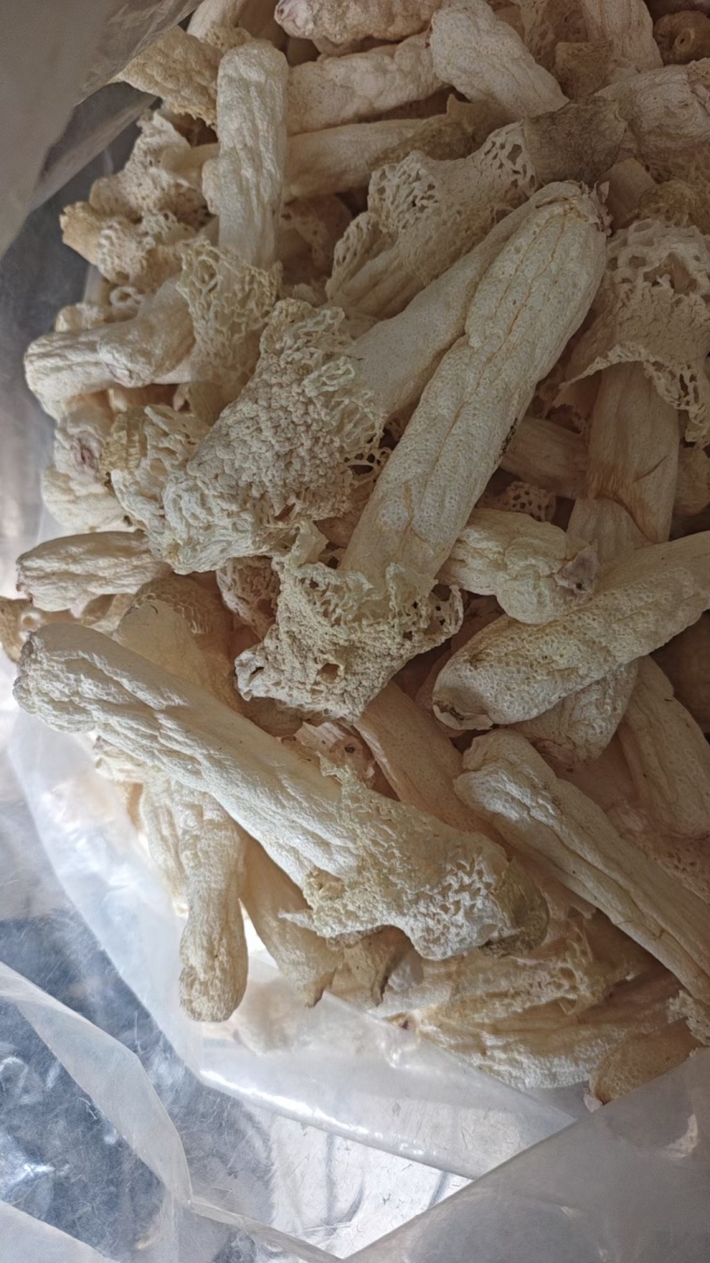 竹荪