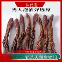 锁阳现货产地一手货源直发可供实体店批发零售
