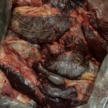 牛罗肌肉