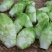 儿菜净儿茶四川冠儿菜青菜娃儿菜