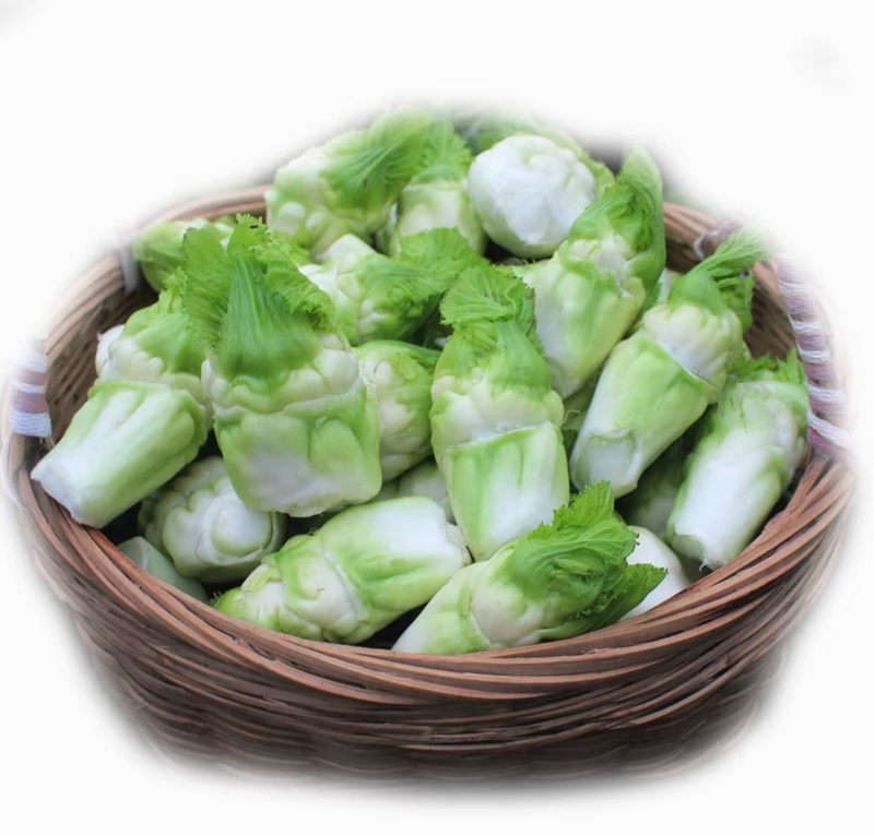 儿菜净儿茶四川冠儿菜青菜娃儿菜