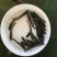 【优质】黑鱼苗大量供应，全国可发，成活率高，死亡联系包赔