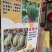 供嫁接苗京颖礼品小西瓜金美2K小吊瓜苗