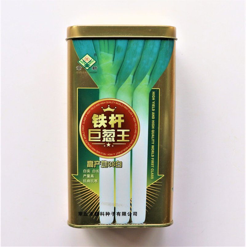 铁杆巨葱王种子高产抗病抗寒白长优质章丘大葱种籽农家大田