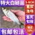 【优质白鲢苗】渔场供货，成活率高，抗病性强，欢迎联系我吧