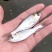 【优质白鲢苗】渔场供货，成活率高，抗病性强，欢迎联系我吧