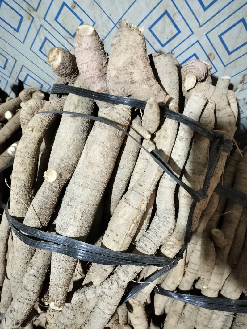 牛大力产地直销，一手货源，长期专业供应牛大力，。