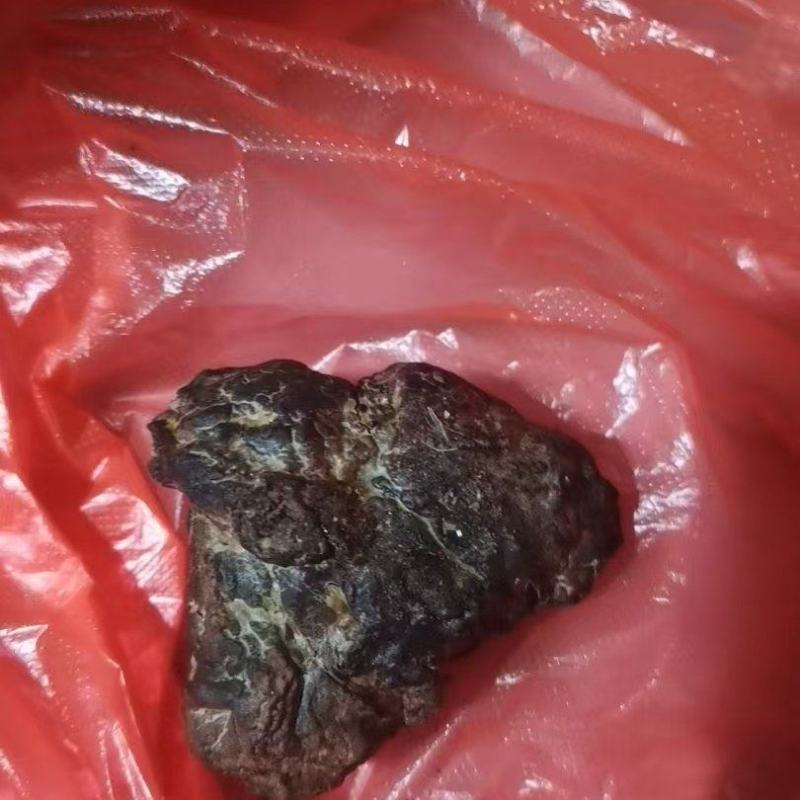 有需要鹅宝的可以联系。
