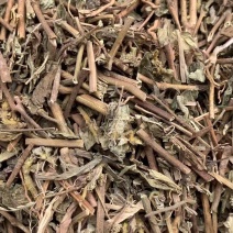 飞扬草【包邮】三斤起发货可批量可零售量大从优