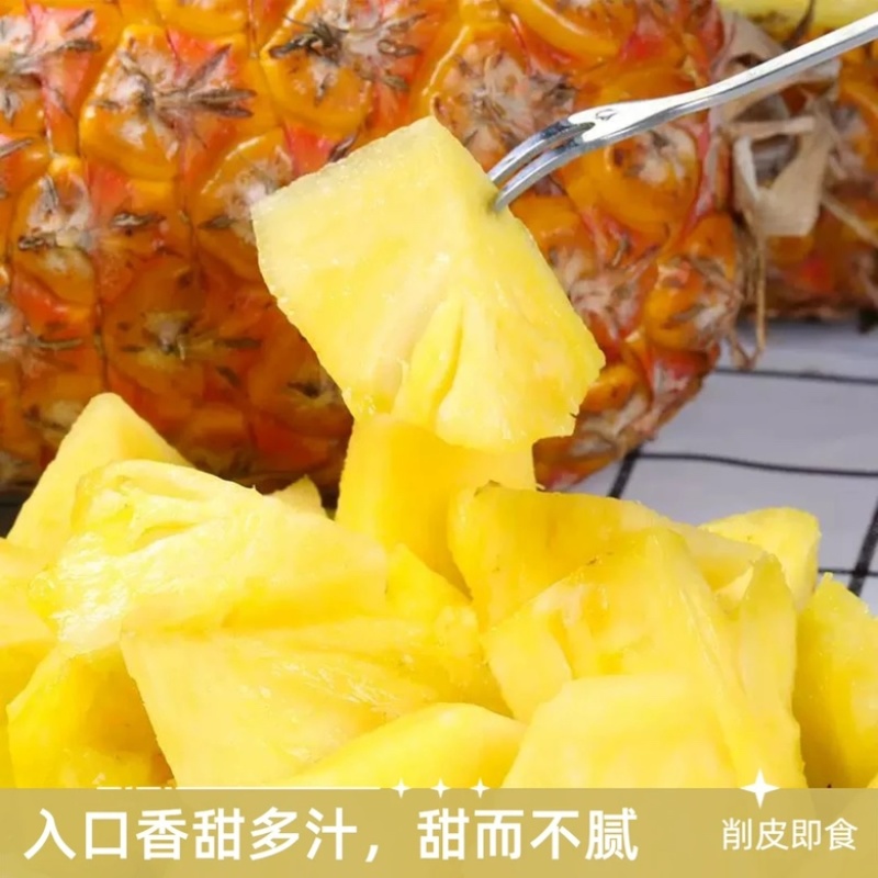 正宗海南金钻凤梨源头产地供应各大电商平台一件代发