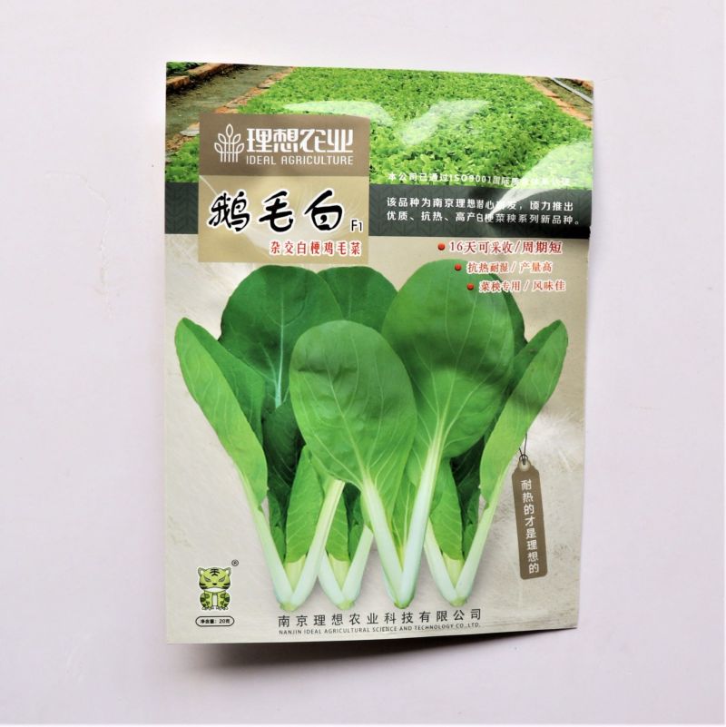 鹅毛白鸡毛菜种子秋冬四季小白菜白梗青菜种籽农家菜园南