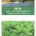 艾叶新鲜食用艾草叶做青团糍粑粑清明果艾叶艾米果现摘