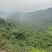 高山云雾绿茶
