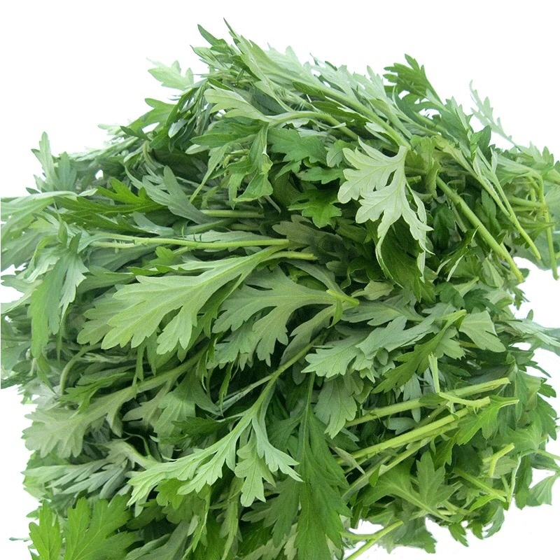 艾草新鲜食用艾草叶青团糍粑清明果嫩艾叶艾叶果当天现摘