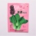 翡翠鸡毛菜种子早熟速生耐热耐寒耐湿小青菜种籽四季播青