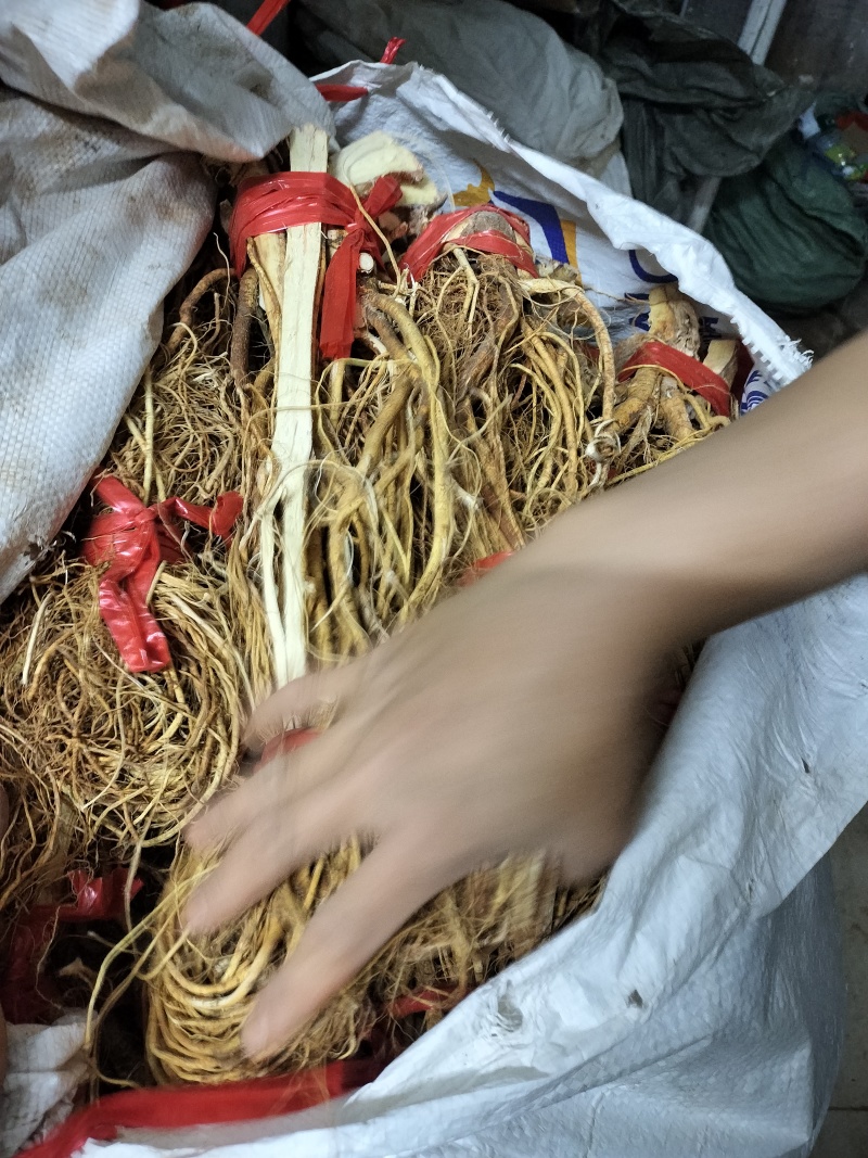 五指毛桃香喷喷的金黄色五指毛桃。五香味很香浓，回头客多多