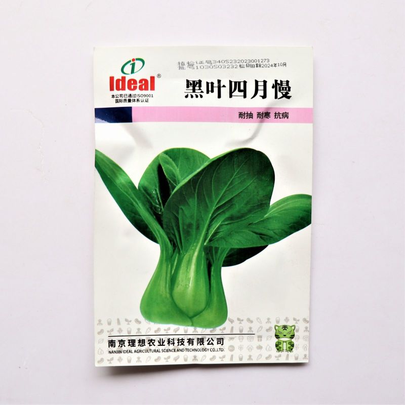 黑叶四月慢青菜种子抗病耐寒耐抽薹小白菜农家田园春秋蔬