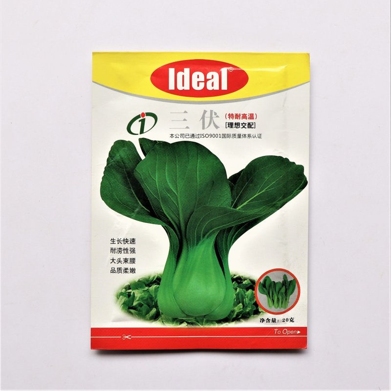 三伏青梗菜种子耐热耐雨水大头束腰上海青四季青菜油菜蔬菜种