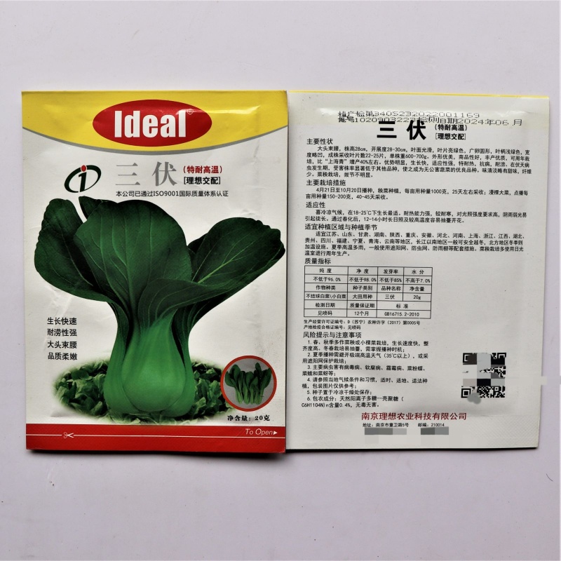 三伏青梗菜种子耐热耐雨水大头束腰上海青四季青菜油菜蔬菜种