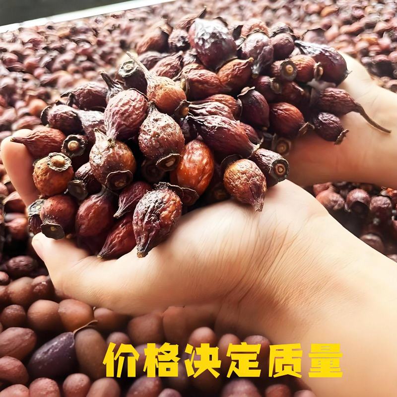 贵州野生金樱子中药材干货大果新鲜无硫晒专用泡酒泡水无添加