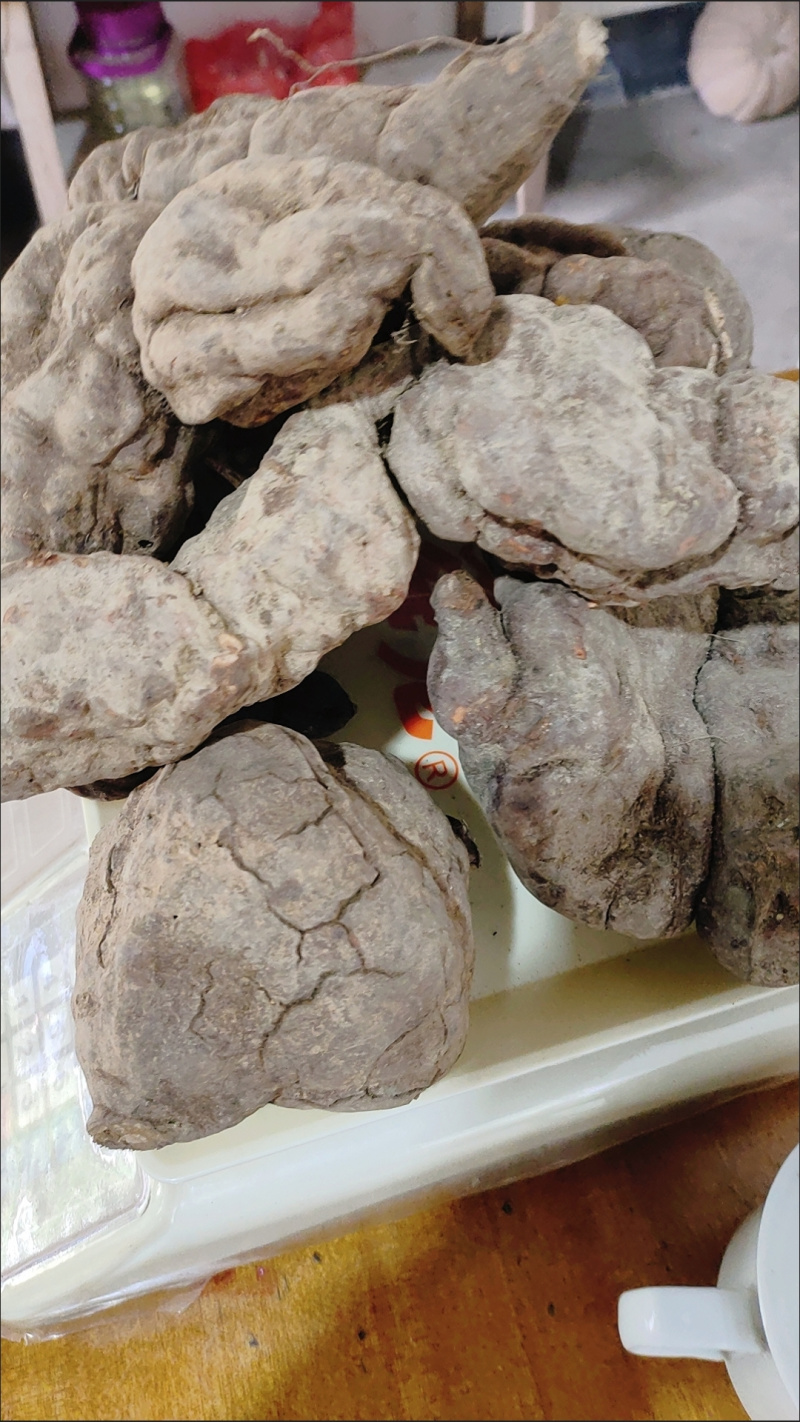 贵州何首乌深山野生新鲜生首乌煲汤泡茶洗发泡酒真品自挖
