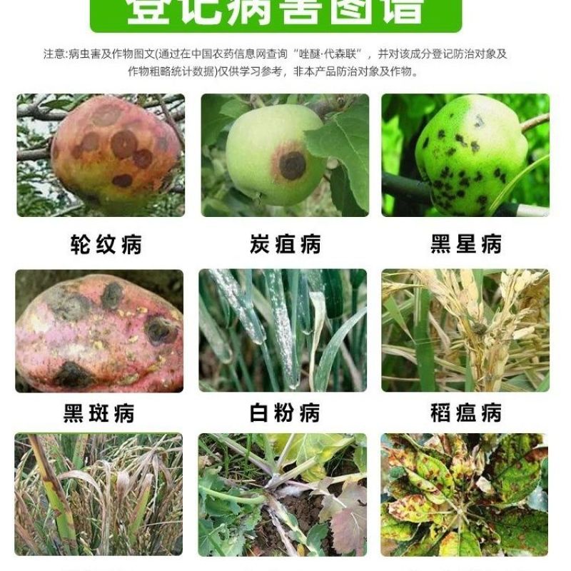 双吉福音60%唑醚代森联苹果轮纹病柑橘树炭疽病正品杀菌剂